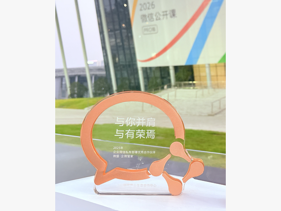 企业微信私有部署优秀合作伙伴（2025）
