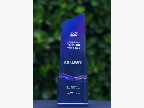 「AI Cloud 100 China」榜单（2025）