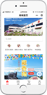 腾讯云微盛小程序联合解决方案-电商小程序